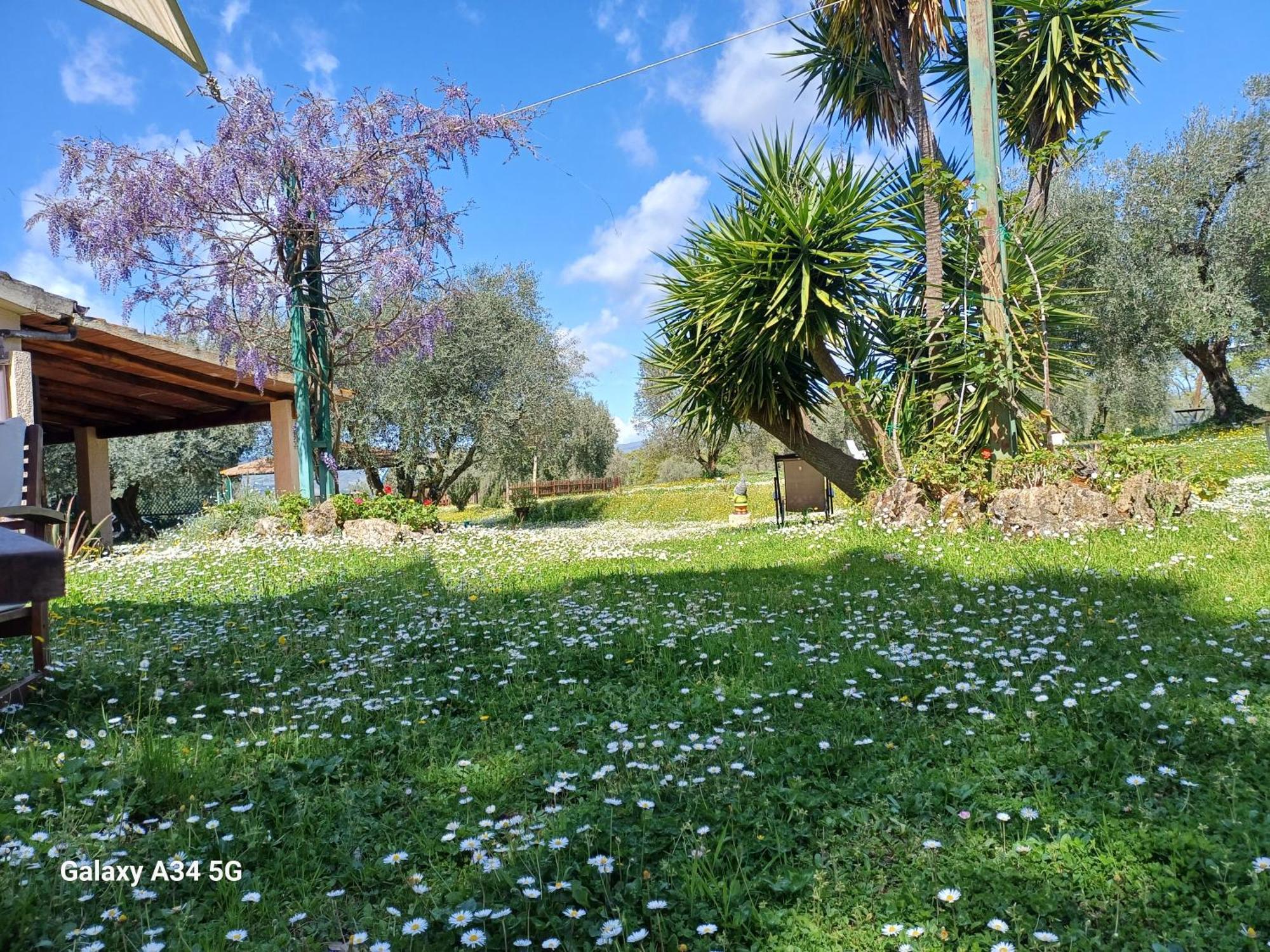 Agriturismo Bio Pian Dei Casali Saturnia Exterior foto